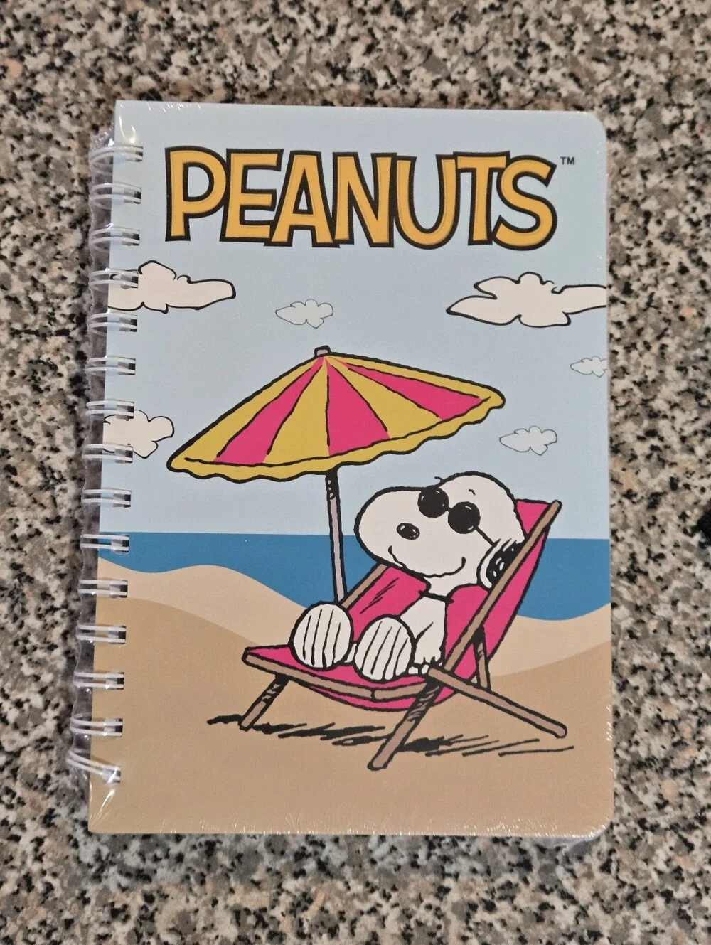 Peanuts Snoopy Beach Spiral Notebook - Light Blue & Pink